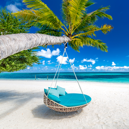 Light Blue Swing Hanging From a Palm on a Maldives Beach